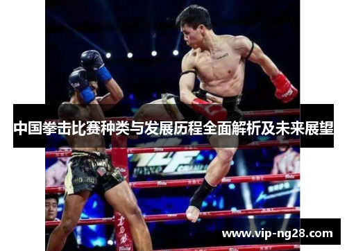 中国拳击比赛种类与发展历程全面解析及未来展望